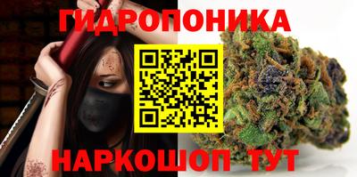 спиды Кандалакша