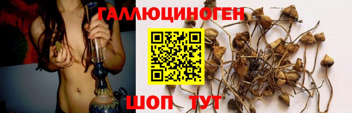 Галлюциногенные грибы Magic Shrooms  Вход с VPN  где купить наркоту  Аксай 